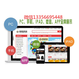 河北直銷軟件直銷系統制度開發定制公司排行榜_軟件開發_第一槍