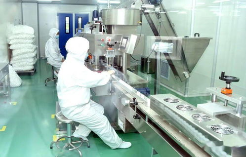 重大項目實現 雙過半