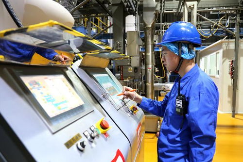 新華全媒 小萌寵激活億元新賽道——山東寵物產(chǎn)業(yè)發(fā)展一線見聞與河南軟件開發(fā)的協(xié)同啟示